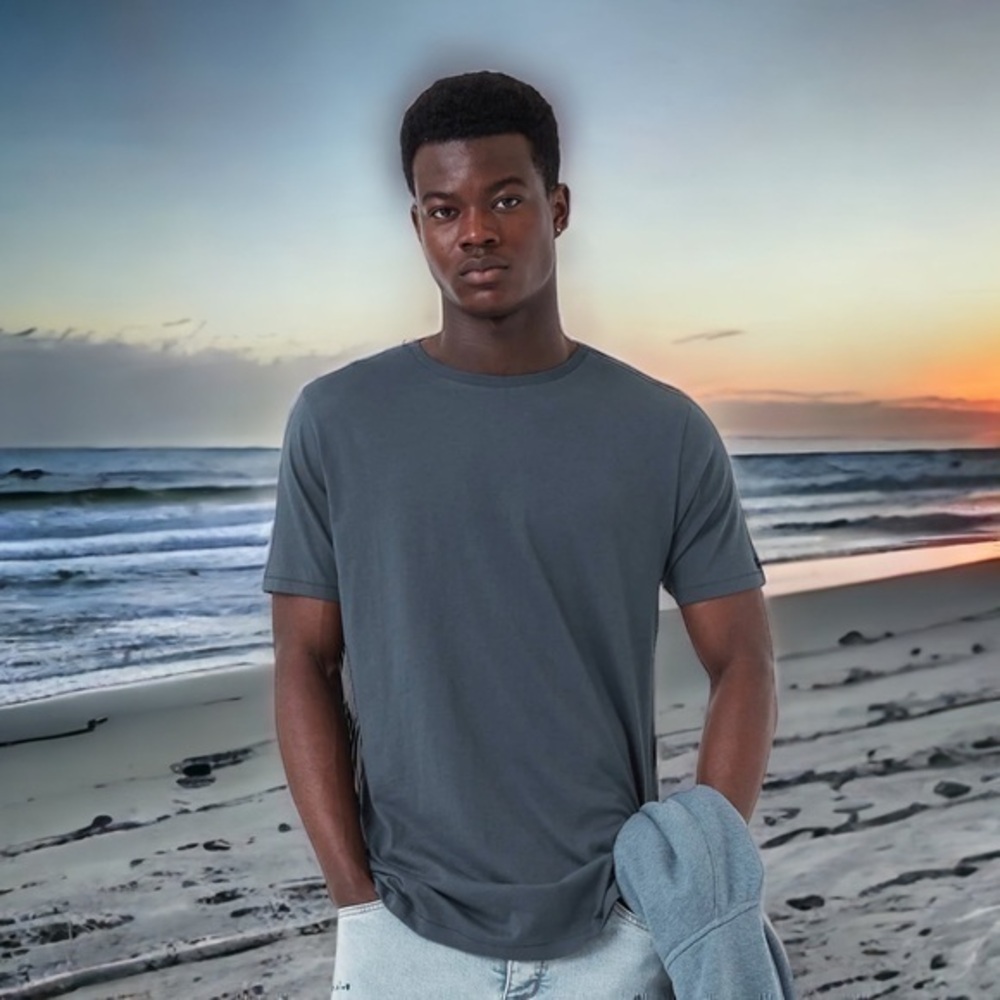 Zanerobe Blue Gray Organic Tee